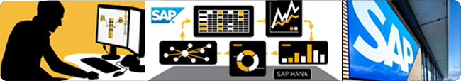 SAP banniere